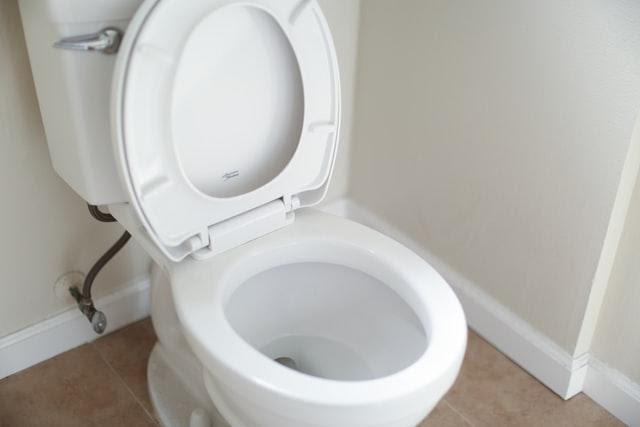 A toilet bowl - one of the dirtiest places in your home