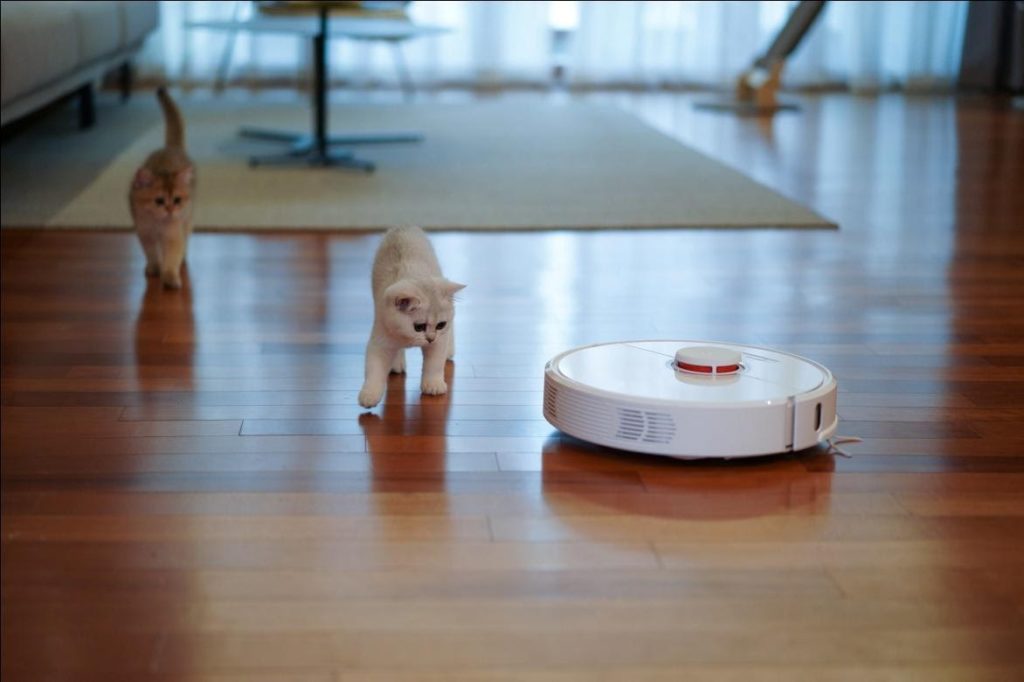 Cats exploring robot vacuum